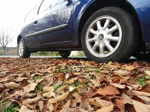 Liście na drodze mogą spowodować trudny do opanowania poślizg, źródło: materiały własne www.info-car.pl