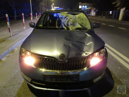 Źródło: www.policja.pl